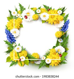 Spring time background with flowers, grass, leaves and ladybugs on white background.