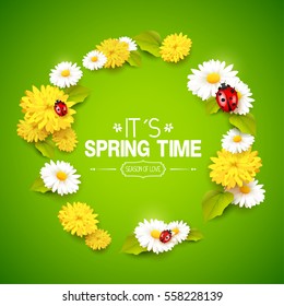 Its spring time. Spring background with flowers, leaves and ladybugs on green background
