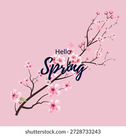 Fondo de primavera con flores de temporada y planta para promociones, revistas, publicidad o Sitios web. Naturaleza Ilustración vectorial plana