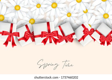 Spring Time banner or flyer background. Tender white daisy flowers and gift boxes design with handwritten lettering. Vector illustration.