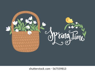 Spring time. Basket with snowdrops