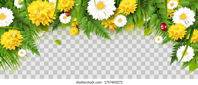 Spring time border with flowers, grass, fern and ladybugs on transparent background.