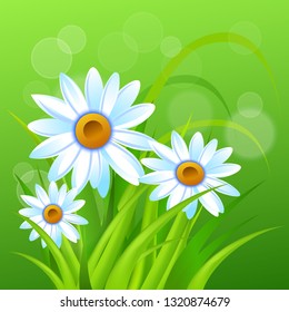 Spring time. Chamomile.Handwritten calligraphy lettering with grass background. Vector image.