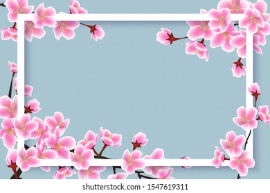 Spring time cherry blossom border - 3D frame with pink sakura flowers interlacing white rectangle border, beautiful blue and pink banner text template - vector illustration.