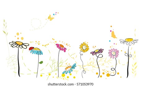 Spring time. Colorful daisy flowers 
