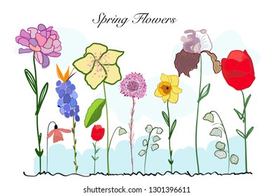 Spring time colorful doodle flowers. Iris, Narcissi and tulip flower background
