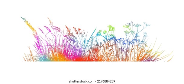 Spring time colorful silhouettes of grass and flowers. Abstract floral vector background