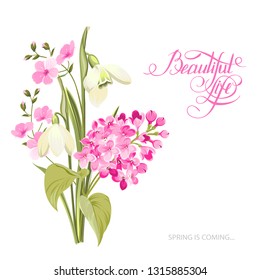 Spring time concept of card with blooming flowers isolated over white background. Vector illustration.