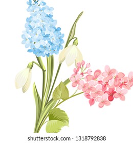 Spring time concept of card with blooming flowers isolated over white background. Vector illustration.