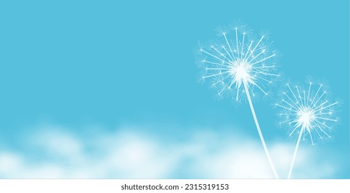 spring time dandelion flower seeds with clouds