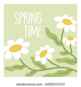 Spring time floral background. Delicate daisy flowers, card design. Gentle blossomed wildflowers, chamomile blooms on square-shaped postcard. Beautiful botanical natural flat vector illustration