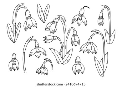 Frühjahrsblütensammlung. Clipkunst-Set von Schneefall, Blumenzeilenillustrationen im Januar.