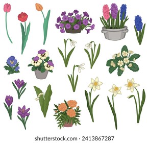 Spring time flowers collection. Clipart set of snowdrops, tulips, narcissus, pansies, crocus, hyacinth, primrose, marigolds, petunias, lilies of the valley. Vector illustrations isolated on white.