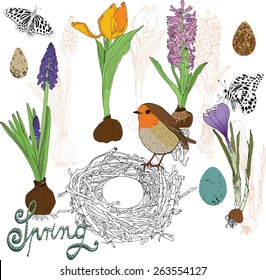 Spring time ,spring flowers, nest, wild eggs,bird and butterflies