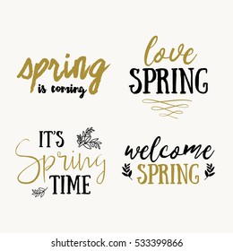 It's Spring time hand drawn brush lettering, black and gold isolated on white. Vector design lettering for spring sales, banners, advertisement, posters, prints, greeting cards, t-shirts