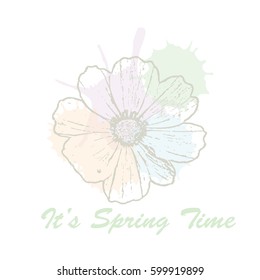 It's spring time hand drawn lettering typography with cosmos flower and watercolor pastel blots. Vector illustration of concept for invitation, card, ticket, label, banner