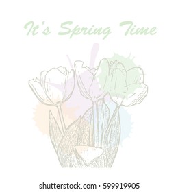 It's spring time hand drawn lettering typography with tulip flowers and watercolor pastel blots. Vector illustration of concept for invitation, card, ticket, label, banner