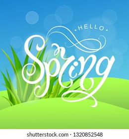 Spring time. Handwritten calligraphy lettering with grass background. Vector image.