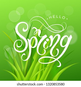 Spring time. Handwritten calligraphy lettering with grass background. Vector image.