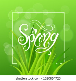Spring time. Handwritten calligraphy lettering with grass background. Vector image.