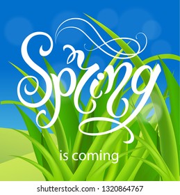 Spring time. Handwritten calligraphy lettering with grass background. Vector image.