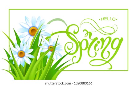 Spring time. Handwritten calligraphy lettering with grass background. Vector image.