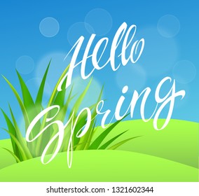 Spring time. Handwritten calligraphy lettering with grass background. Vector image.