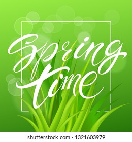Spring time. Handwritten calligraphy lettering with grass background. Vector image.