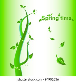 spring time label in fresh green tone