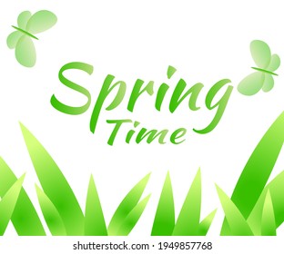 Spring time lettering phrase isolated on white background banner season card vector illustration green grass and butterflies flying 