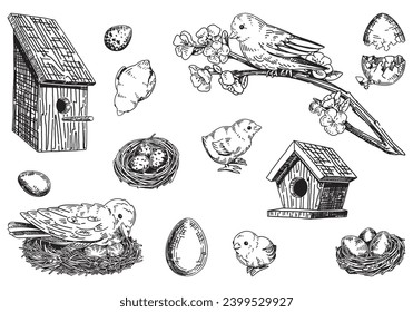 Spring time outline collection. Sketches set of birds, nest, chicks, bird houses, eggs. Vector illustration in engraving style isolated on white.