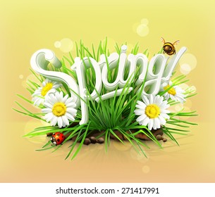 Spring, time for a picnic, grass, flowers of chamomile, a ladybug and a bee in the garden, an universal background