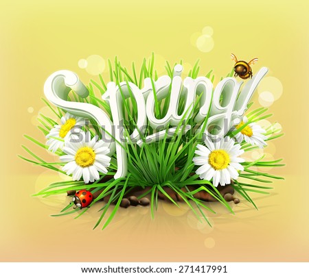 Spring, time for a picnic, grass, flowers of chamomile, a ladybug and a bee in the garden, an universal background