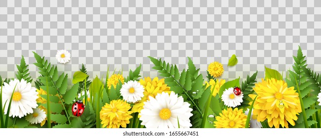 Spring time seamless border with flowers, grass, fern and ladybugs on transparent background.