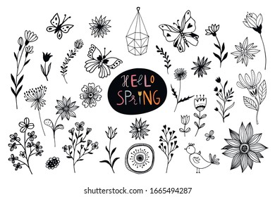 Spring time/ summer collection with hand drawn flowers and plants isolated on white