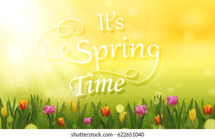 It's Spring time. Sunny day with meadow flowers, sun rays. Vector illustration.
