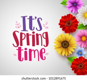 It's spring time text in empty white background vector template with colorful various flowers like daisy, sunflower and elements for spring seasonal greeting design. Vector illustration.
