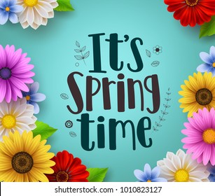 It's spring time text vector greeting design with colorful spring flower elements like daisy and sunflower in green floral background for spring season. Vector illustration.

