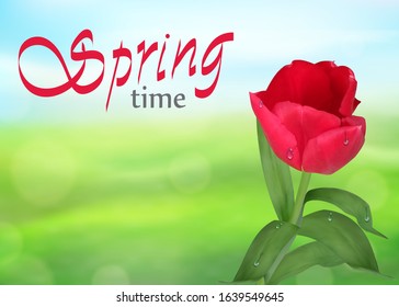 Spring time. Tulip on Green and blue nature background blurred and bokeh effect. Beautiful spring flower with water drops. View with copy space add text. Vector illustration.