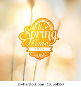 It's Spring Time typographic design with colorful background