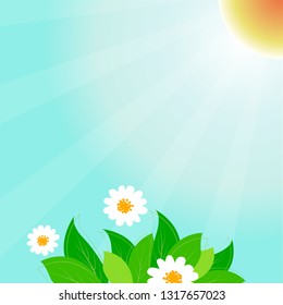Spring time vector background with leaves and cute daisy flowers
