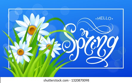 Spring time. Yellow flowers. Chamomile.Handwritten calligraphy lettering with grass background. Vector image.