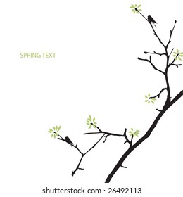 spring tree