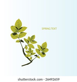 spring tree