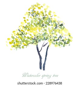 Spring tree. Spring background. Watercolor illustration.