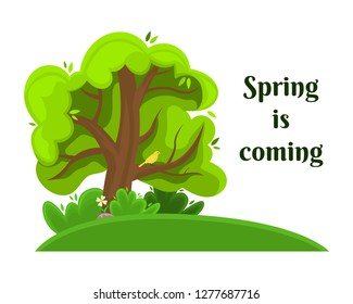 Spring tree with a bird on a branch. Isolated image.
Sunny day. Flat cartoon style.