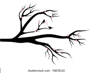 Spring Tree with birds in love on it. Early leaves, flowers and love