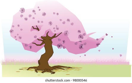 spring tree in blossom