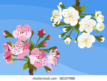Spring Tree Blossom Vector Illustration
