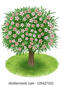 Spring Tree with blossoms in green field, illustration